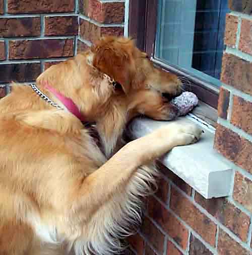 Charlotte grabs ball