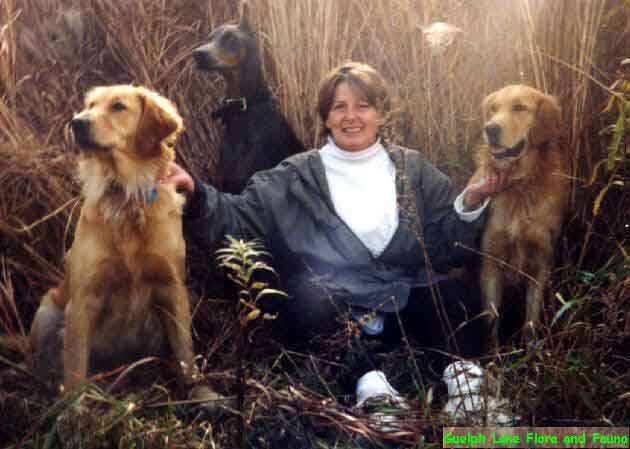 Dogs and Janet in the grass