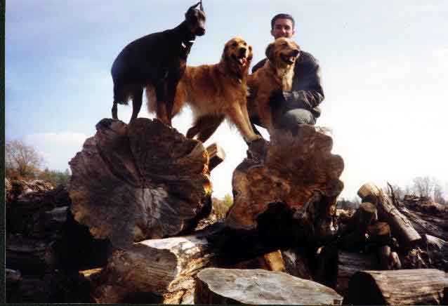 Dogs and Rob on woodpile