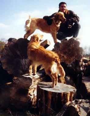 Dogs and Rob on woodpile