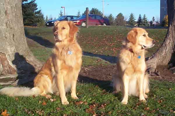 The girls start their morning walk at Margaret Greene