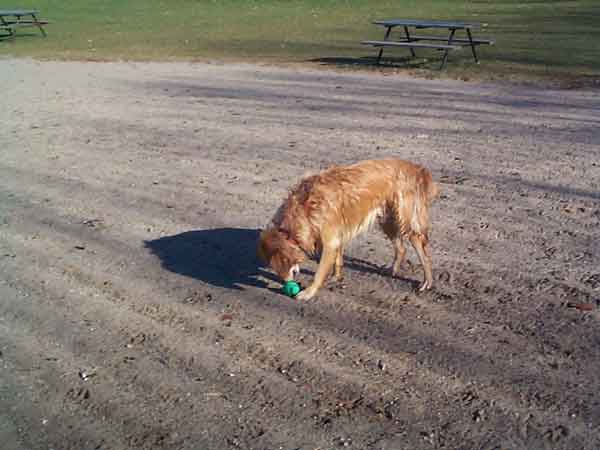 Katie destroys yet another football