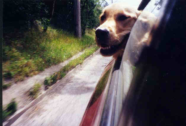 Katie in the car