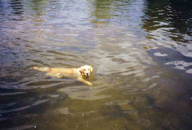 Katie swimming