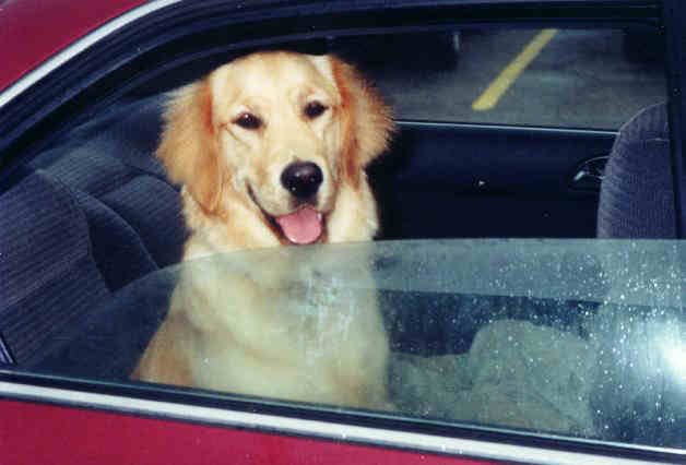 Katie in the car