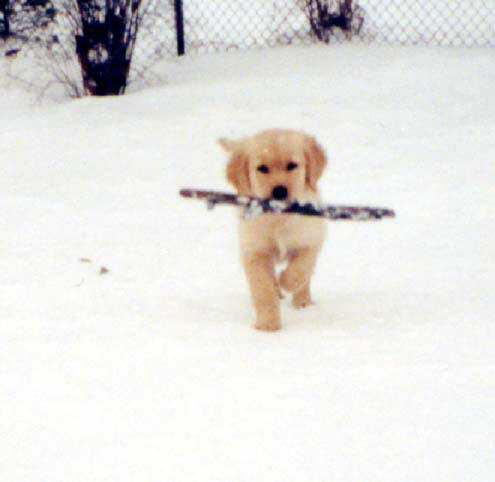 Katie with stick