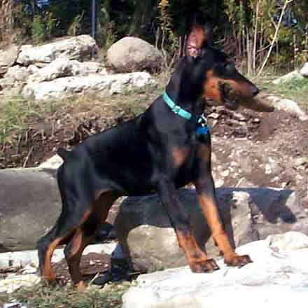 Nya at Lake Ontario on Oct.13, 2001