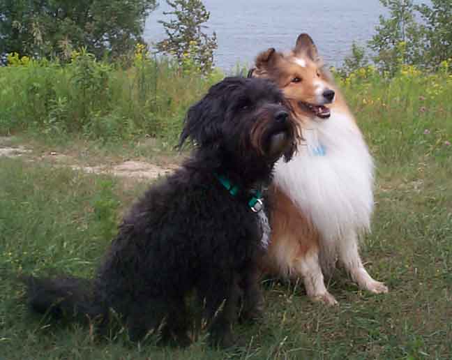 On the hill at Guelph Lake