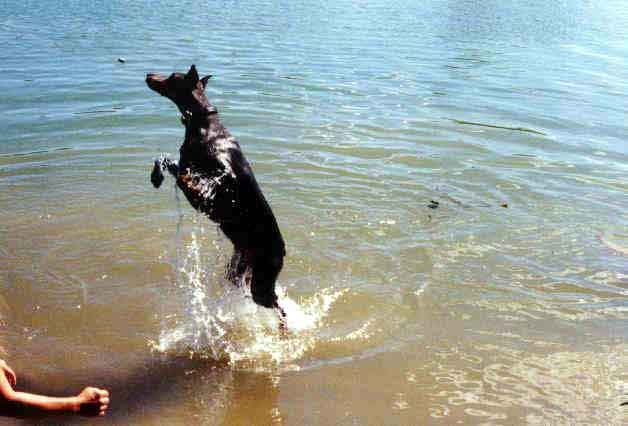 Shadow jumping