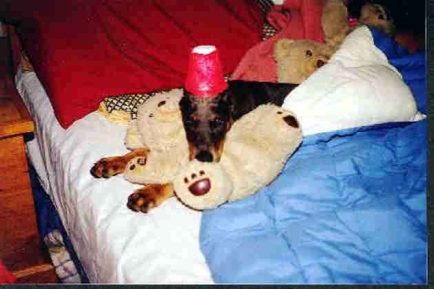 Baby Shadow with teddies