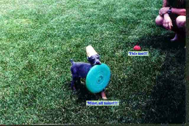 Baby Shadow with frisbee