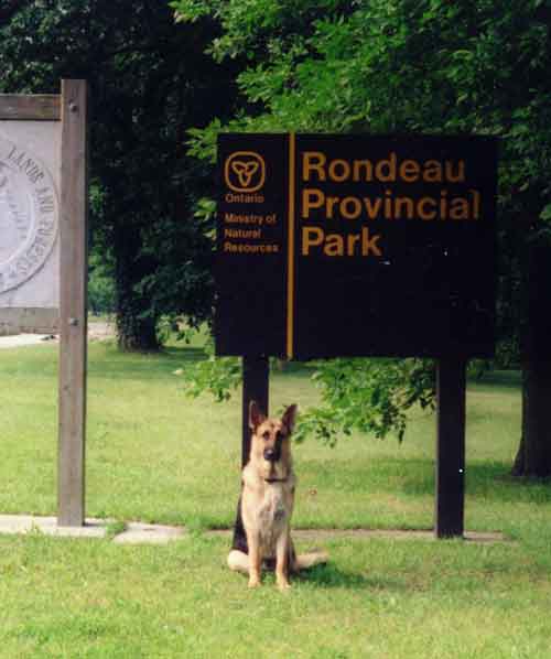 At Rondeau Provincial Park