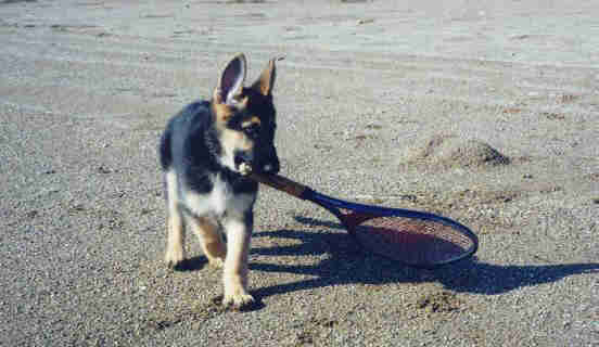 Sleeman with tennis racquet