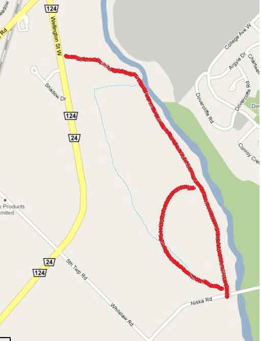 Bailey Bridge trail